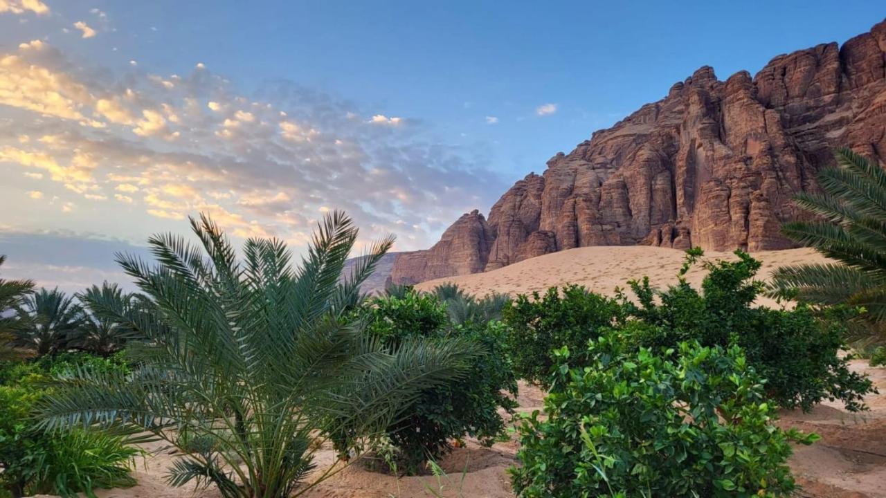 الجوهرة Diamond Plus Villa Al Ula Buitenkant foto