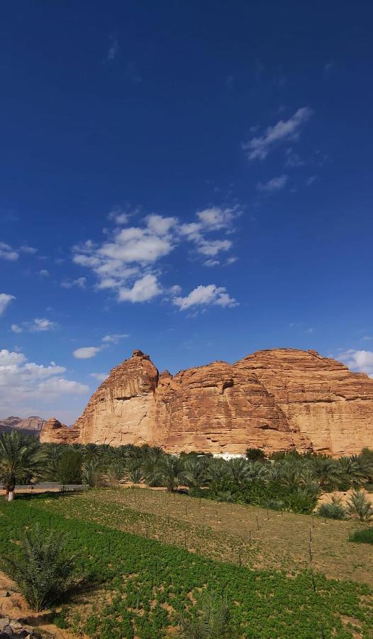 الجوهرة Diamond Plus Villa Al Ula Buitenkant foto