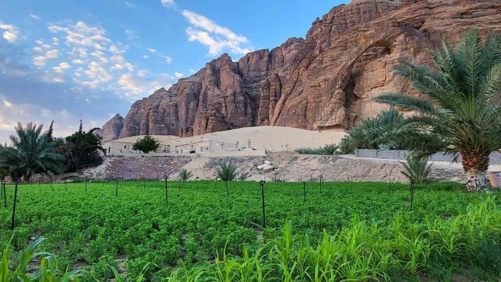 الجوهرة Diamond Plus Villa Al Ula Buitenkant foto